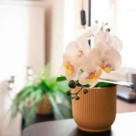 Gariglio Al Carmine Genova